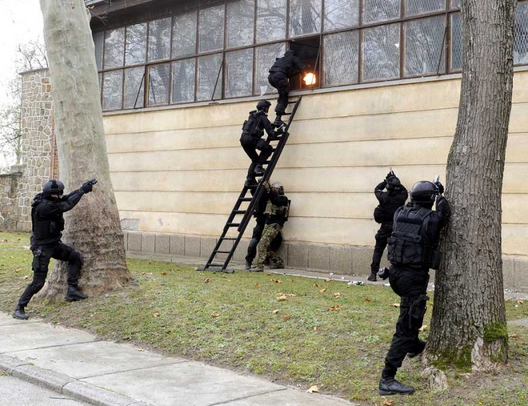 חלון הזדמנויות שיווק תוכן