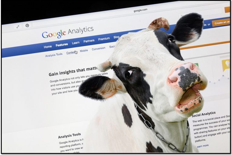 גוגל אנליטיקס